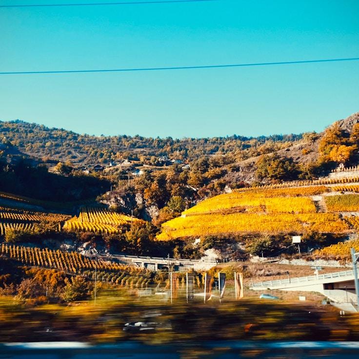 Outdoor terrace seating suitable for families in New York